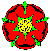 red rose of Lancashire